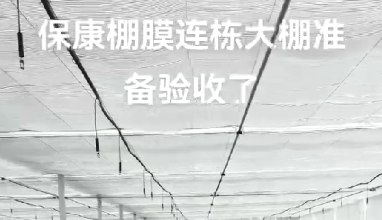 ?？蹬锬みB棟大棚準備驗收
